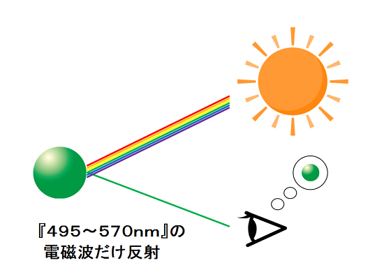 緑の可視光線を反射する緑色のボールのイラスト