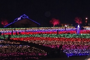 ７色のイルミネーションに彩られた太田市北部運動公園
