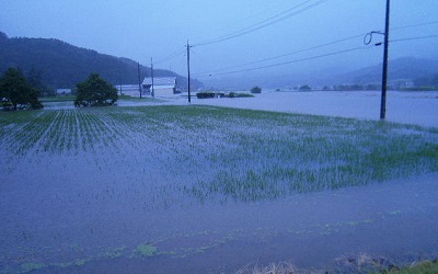 大雨で浸水した田んぼ